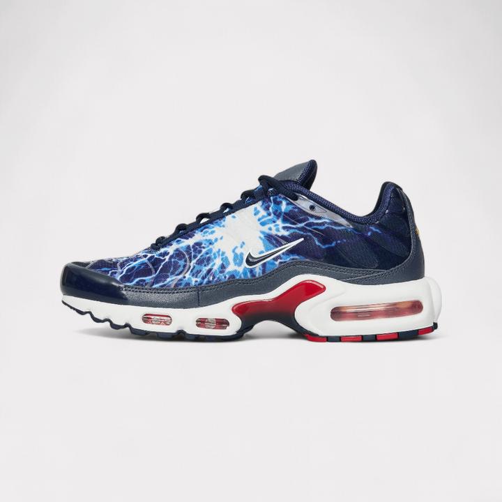 Actual product image Nike Air Max Plus (42)