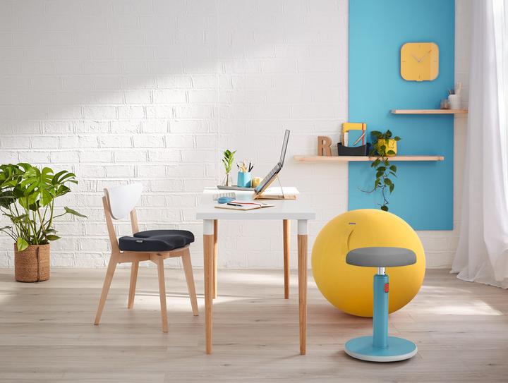 Produktbild Leitz Ergo Cosy Active Sitzball (65 cm)
