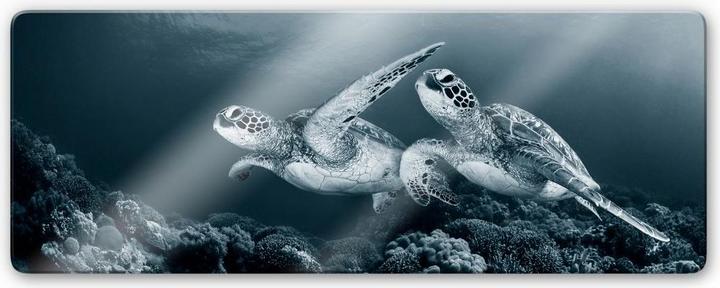 Produktbild Trenddeko Narchuk - Zwei Schildkröten auf Reisen (40 x 100 cm)