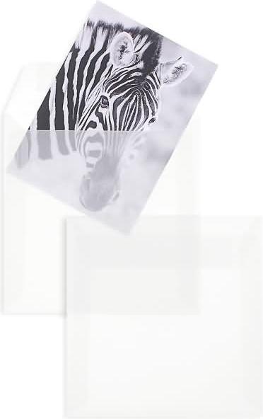 Actual product image Blanke Envelopes 150x150mm 90g/sqm adhesive PU=100 pieces transparent-white (100 x)