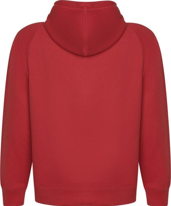 Immagine prodotto Alpinia Vinson Felpa con Cappuccio Adulto Unisex (L)