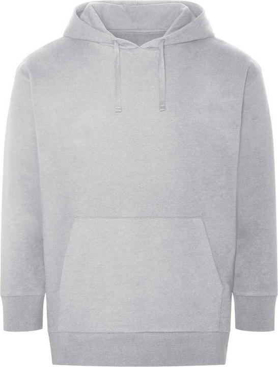 Immagine prodotto Awdis Felpa con cappuccio Crater Recycled per adulti (XXL)