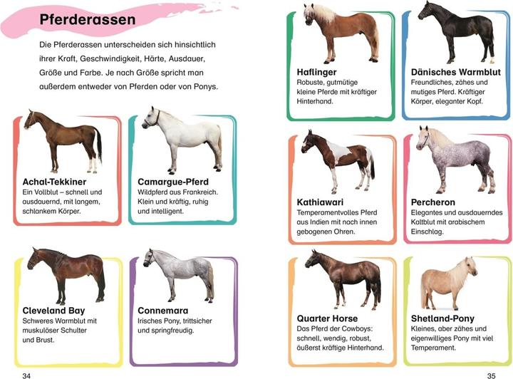 Actual product image SUPERLESER! Emma und der Pony-Klub (German, Patricia J Murphy, Susan Niessen, DK Verlag - Kids, 2022)