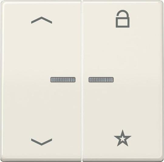 Actual product image JUNG FM AS 1701 P eNet radio control button