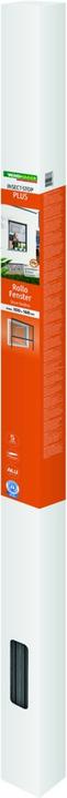 Produktbild Windhager Rollo (100 x 160 cm)