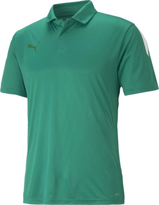 Produktbild Puma teamLIGA Sideline Polo-657257 (M)