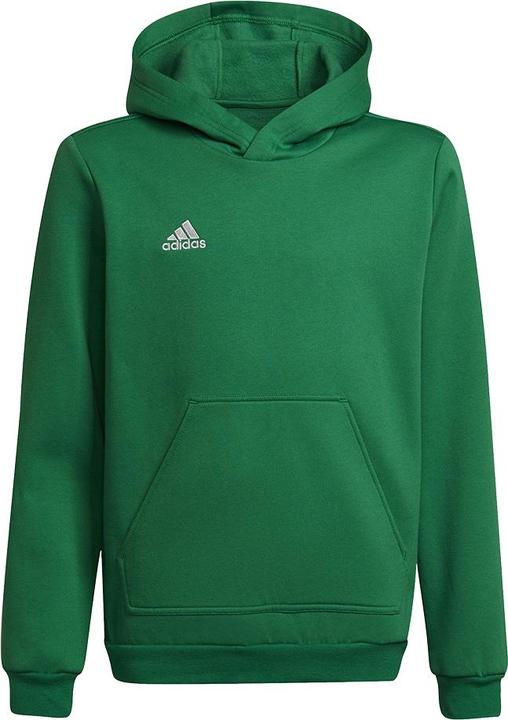adidas Blouse enfant Entrada 22 Hoody vert HI2143 (164 cm) (164)