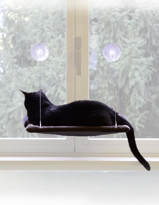 Image du produit United Pets Cat View (Chat)