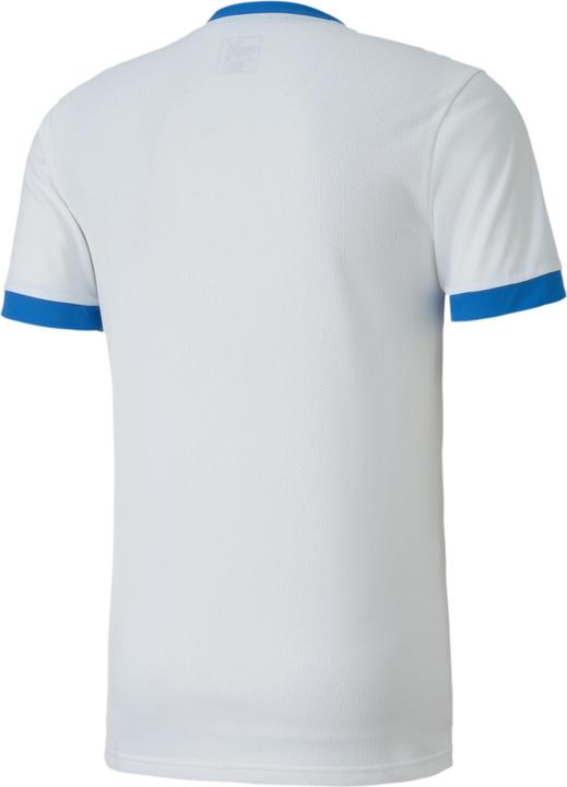 Actual product image Puma teamGOAL 23 Jersey-704171 (M)