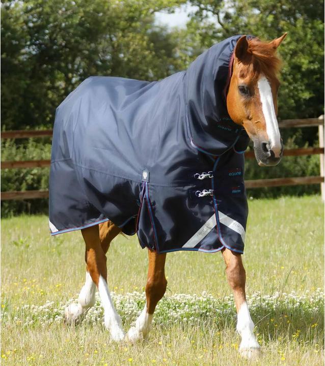 Produktbild Premier Equine Titan Storm 200 g