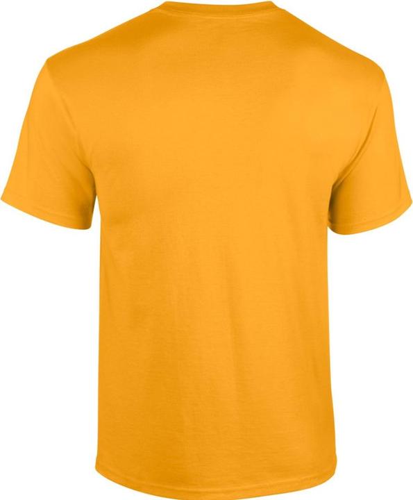 Immagine prodotto Gildan UTBC481 P (XL)