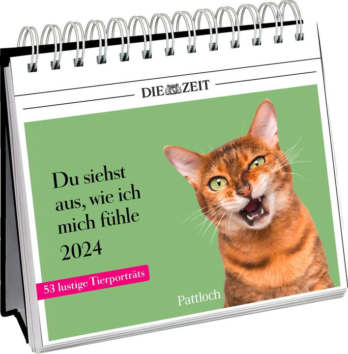 Produktbild Du siehst aus, wie ich mich fühle 2024 (Deutsch)