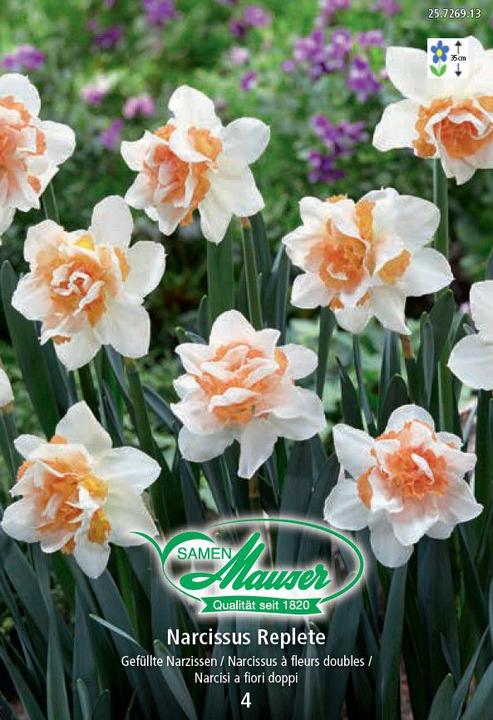 Image du produit Samen Mauser Replete, narcisses farcis, 4 oignons (Plante bulbeuse)