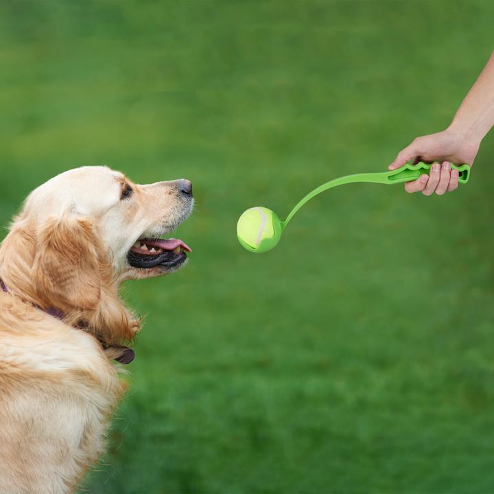 Actual product image Relaxdays 12-piece ball slingshot set (Ball toy dog)