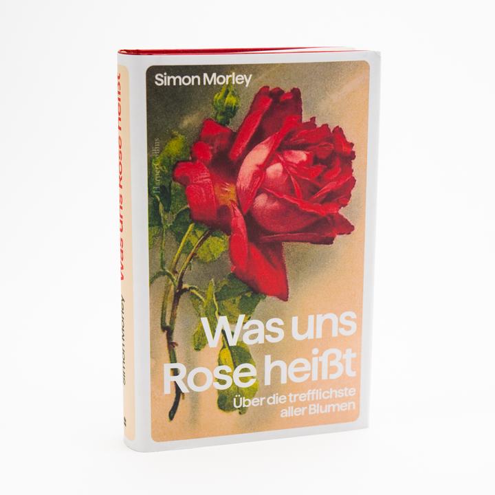 Image du produit Morley:»Was uns Rose heisst« - Über die (Allemand, Simon Morley, 2024)