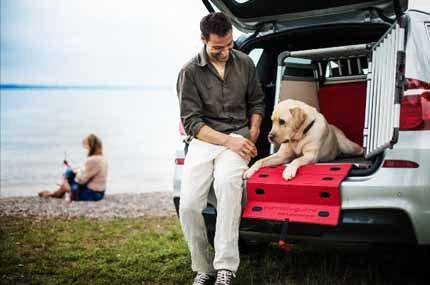 Actual product image Dogbox Scratch Guard (Dog)