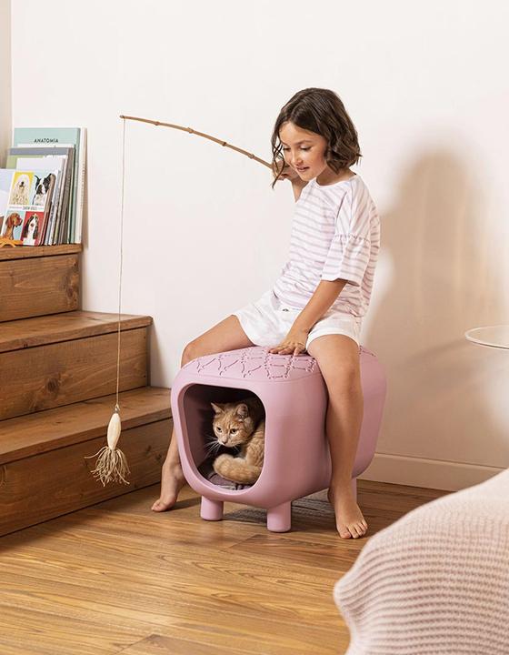 Actual product image United Pets Pancuccia (Dog, Cat)