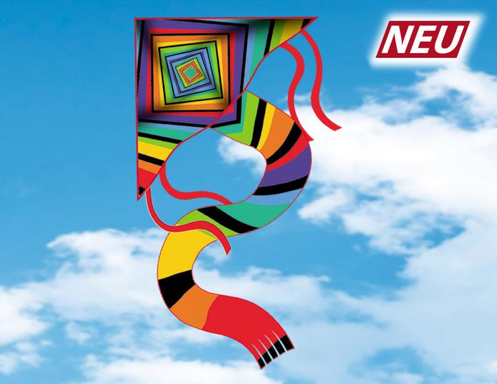 Actual product image Günther Flugspiele Single line kite matrix