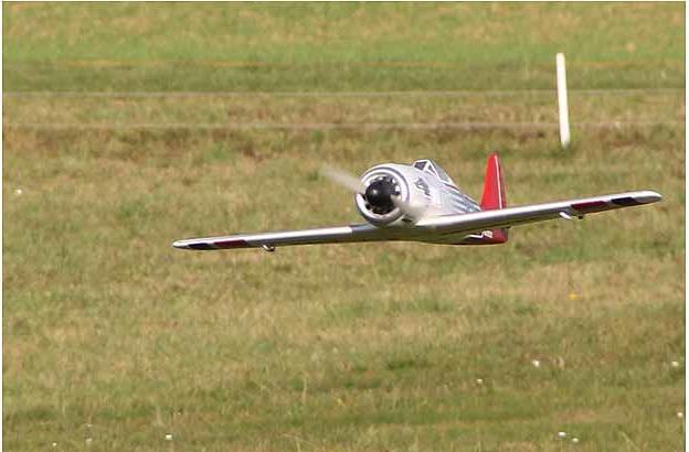 Image du produit Multiplex Race Wulf (Oiseau de guerre)