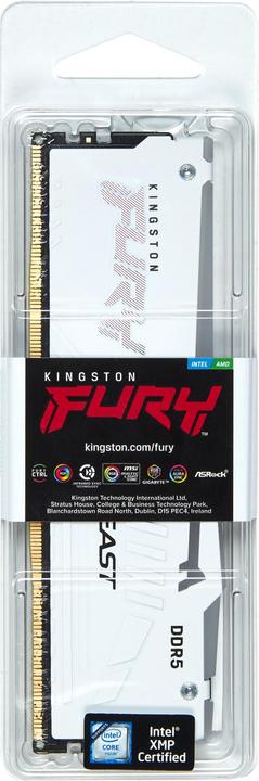 Image du produit Kingston FURY Beast RGB (1 x 32GB, 5600 MHz, RAM DDR5, DIMM)