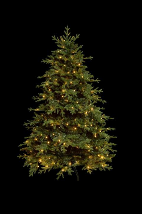STT Albero (150 cm)