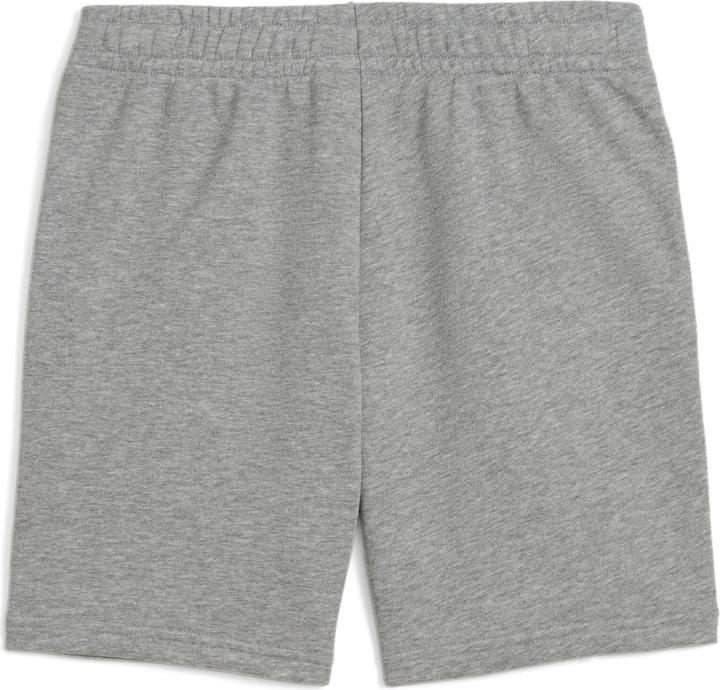 Actual product image Puma ESS 2 COLOR No. 1 Logo Shorts TR B (164)