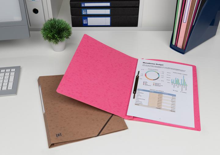 Produktbild Oxford Schnellhefter TOP FILE+, A4 (A4, 1 x)