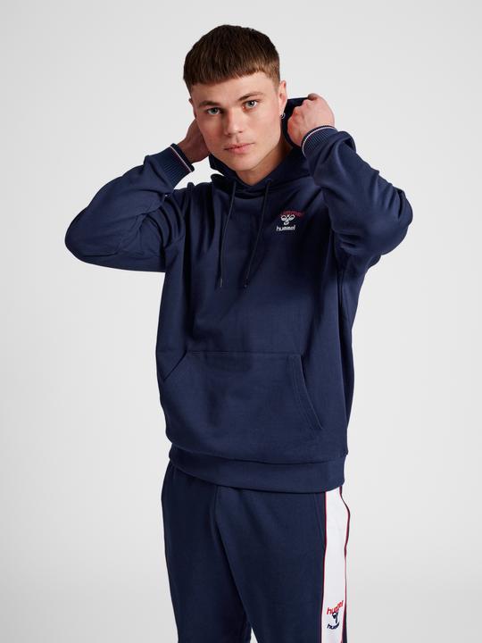 Actual product image hummel Ic Dayton Hoodie (L)