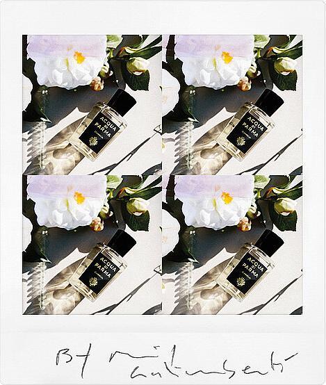 Actual product image Acqua Di Parma Camelia (Eau de parfum, 100 ml)