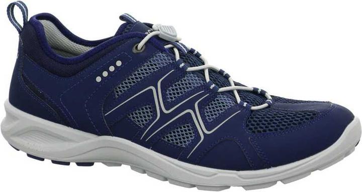 Ecco Terracruise Shoes (39)