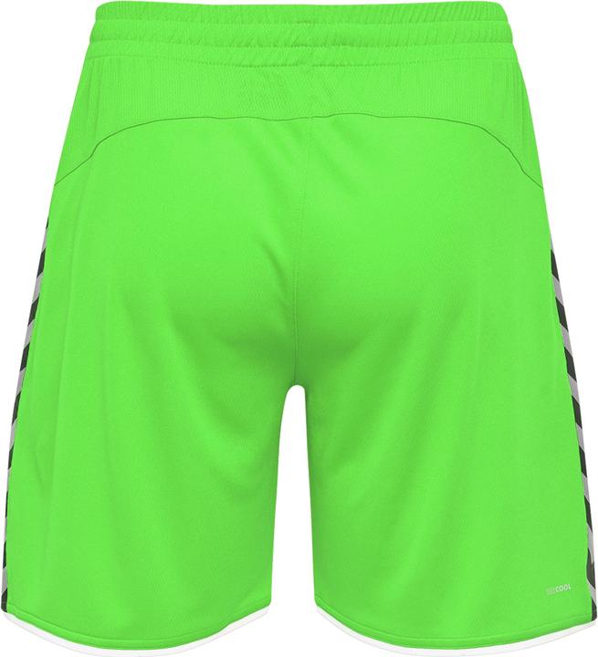 Actual product image hummel Authentic Poly Shorts (M)
