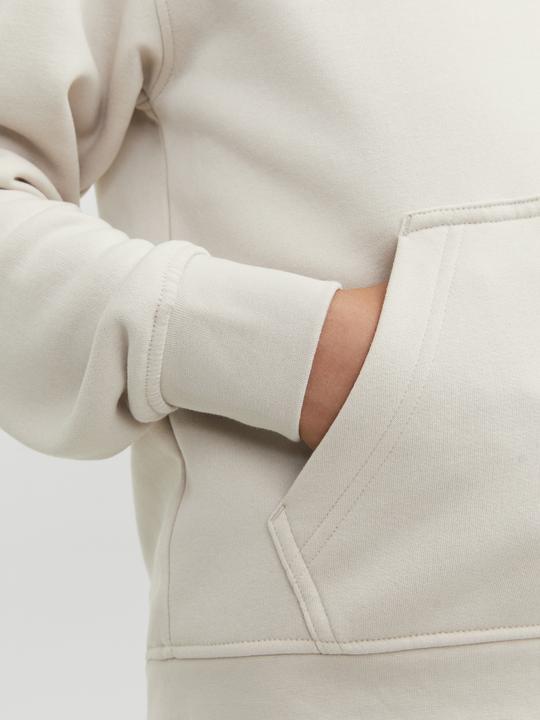 Produktbild Jack & Jones Hoodie (176)