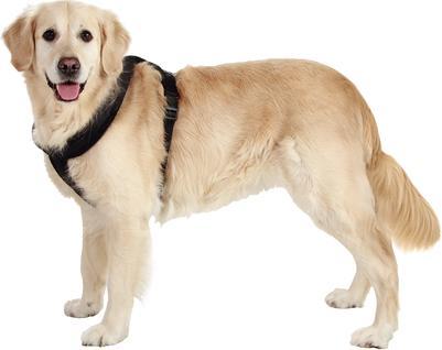 Actual product image Karlie Art Sportive Plus Harness Cross (Dog, Dog sport)