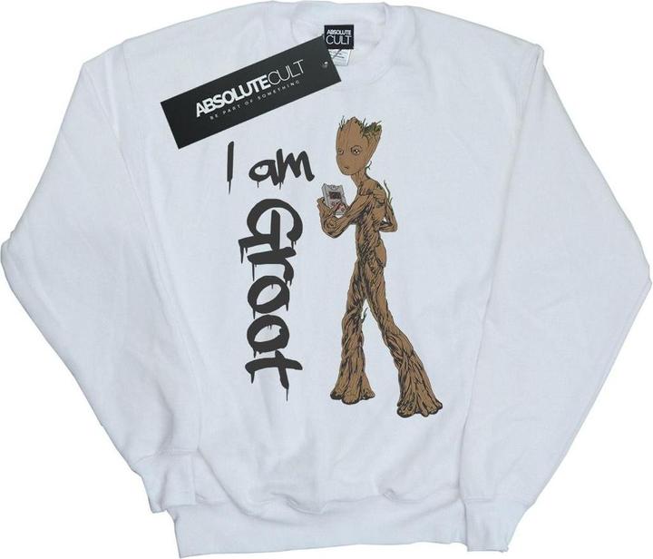 Avengers Infinity War Graffiti Groot Sweatshirt Jungen