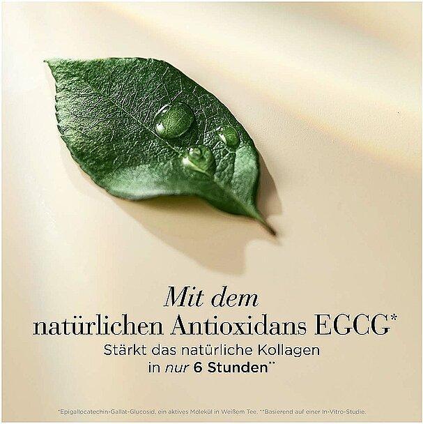Actual product image Elizabeth Arden Replenishing Micro Gel Cream (50 ml, 24h cream)