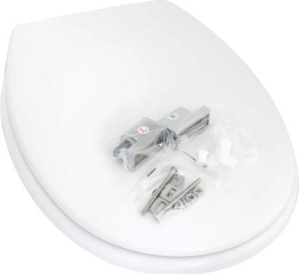 Actual product image Homeline toilet seat