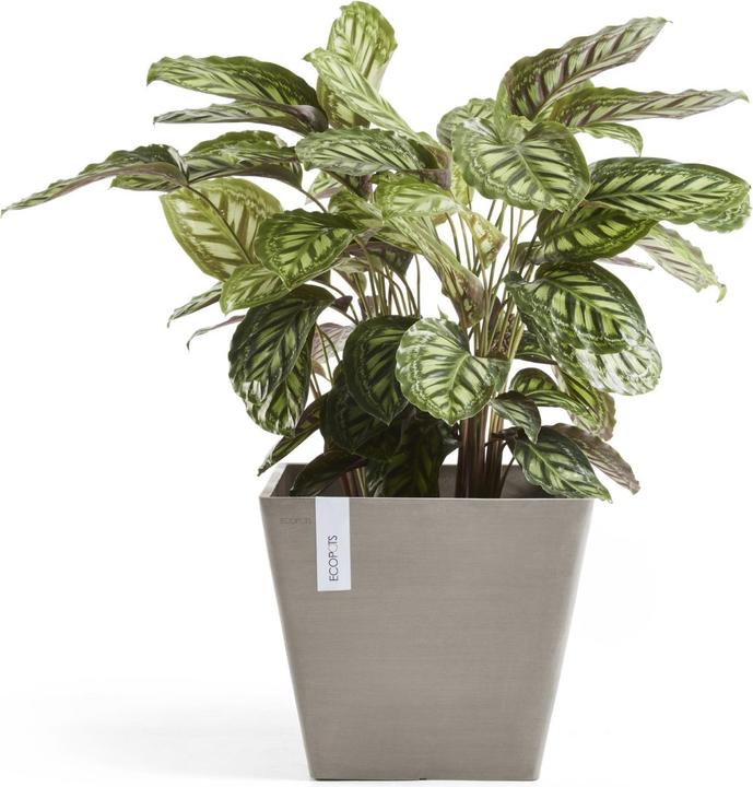 Produktbild Ecopots Rotterdam (40 cm)