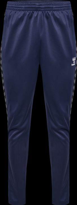 Actual product image hummel Hmlauthentic Training Pants (L)