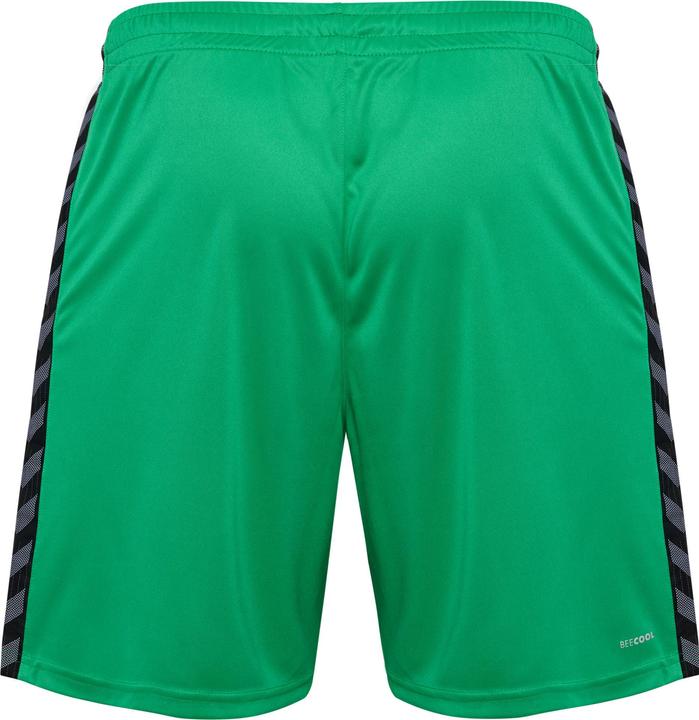 Actual product image hummel Hmlauthentic Pl Shorts (XL)
