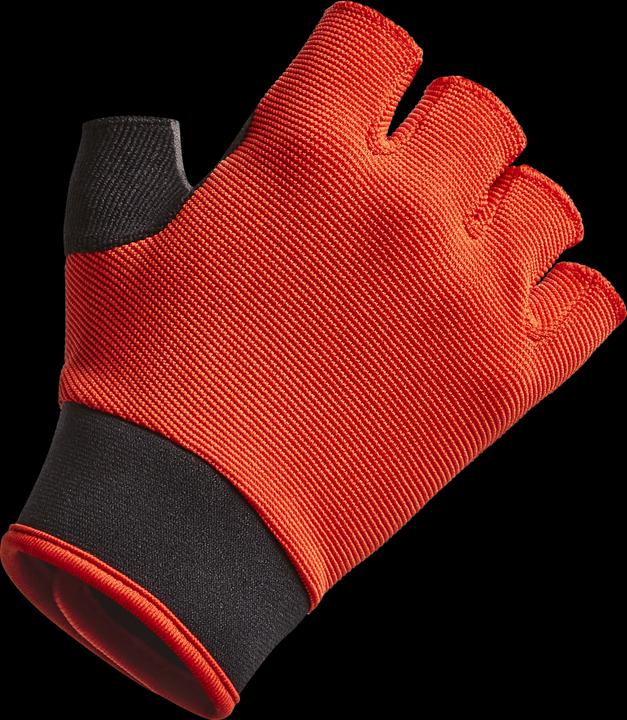 Actual product image Btwin 980 (6, 7, 8)