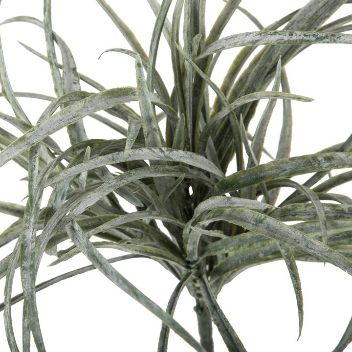 Actual product image DPI Giardino (35 cm)