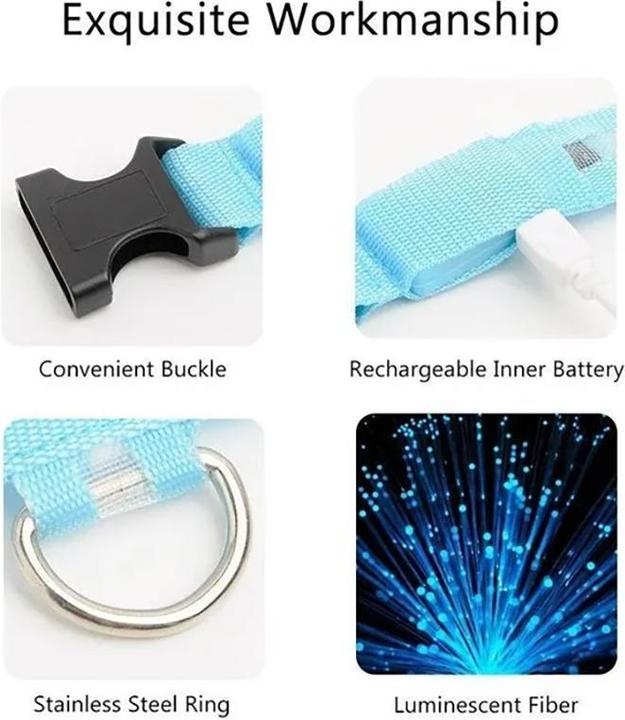 Actual product image Cbx Rechargeable LED dog collar size L - 46-50cm (L, Dog)