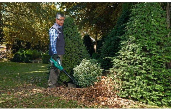 Produktbild Bosch Home & Garden Alb 36 Li (Akkubetrieb, Laubbläser)