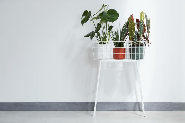 Produktbild Elho B.for soft (16 cm)