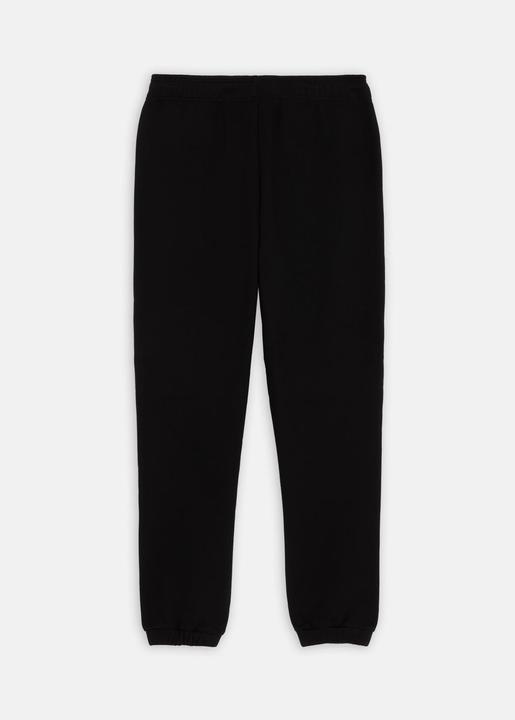Actual product image The Dickies Mapleton Sweatpant Black (XS)
