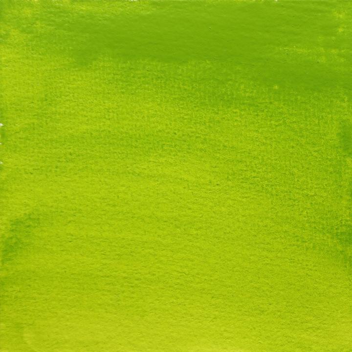 Image du produit BlockX - Vert or (Vert doré, 5 ml)