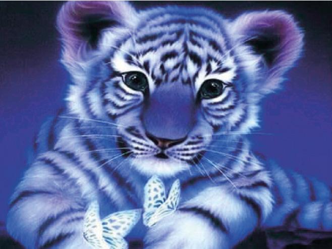 Produktbild Pracht Diamond Painting Baby Tiger