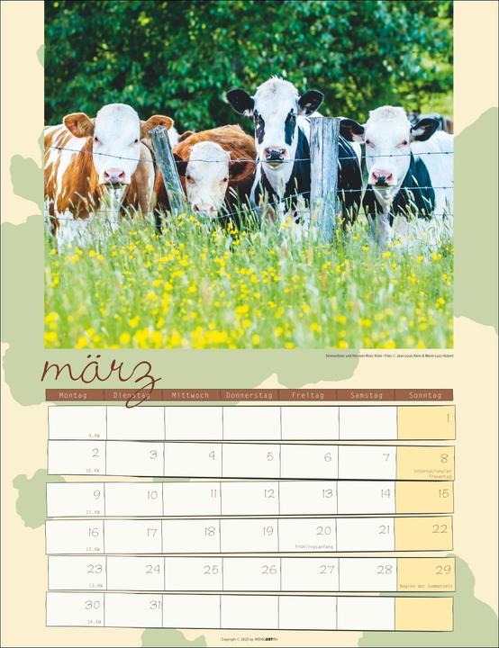 Actual product image Kuh Kalender 2026 (30 x 39 cm, German)