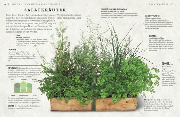 Produktbild Küchenkräuter anbauen und geniessen (Deutsch, Jeff Cox, Marie-Pierre Moine, Susanne Vogel, 2020)