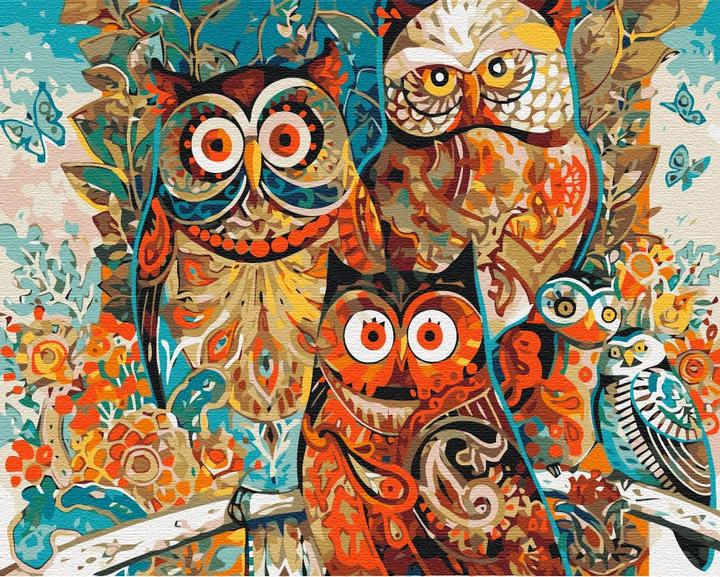 Syma Picture Paint it! Painting by numbers Owls